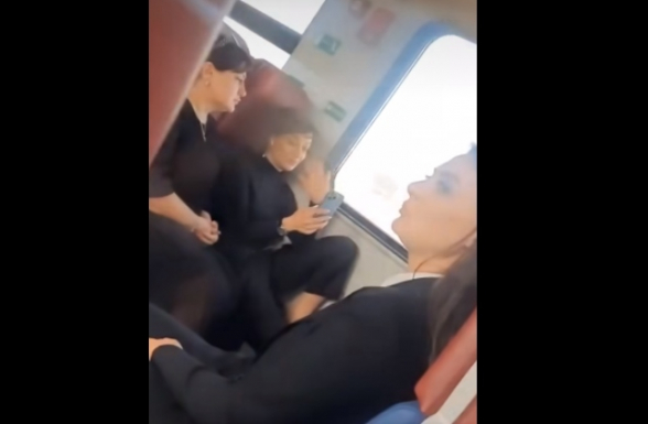 Աննա Հակոբյանի պահվածքը գնացքում